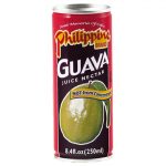Drinks Guavenectar PHIL.BR 250ml