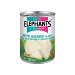 GROEN JACKFRUIT ELEPHANTS 540GR